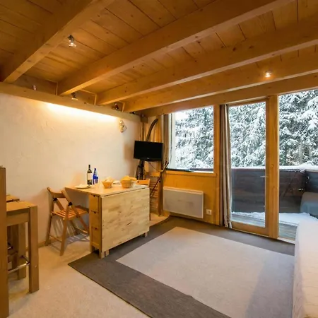 Residence Grand Roc - Ancolies 104 - Happy Rentals Apartment