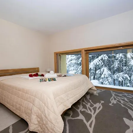 Apartment Residence Grand Roc - Ancolies 104 - Happy Rentals Chamonix