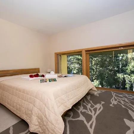 Residence Grand Roc - Ancolies 104 - Happy Rentals Apartment Chamonix