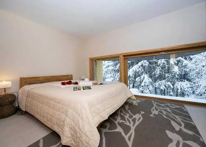 Appartement Résidence Grand Roc - Ancolies 104 - Happy Chamonix