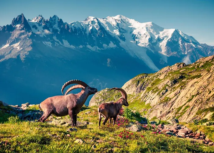 Grand Roc - Ancolies 104 - Happy 公寓 *